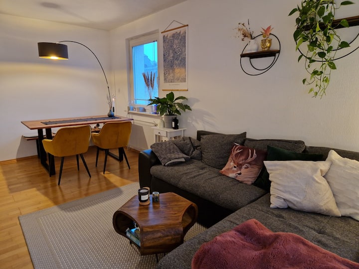 Cozy private apartment Apartments for Rent in Frankfurt am Main