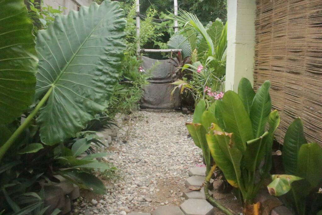 Entrada vista desde dentro
