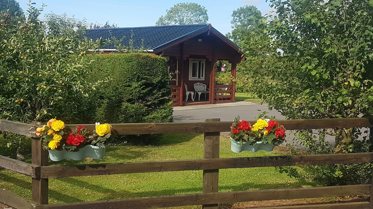 The cabin is framed by a manicured lawn with vibrant flower boxes filled with red and yellow blooms adorning a wooden fence. A pathway leads to the entrance, flanked by well-maintained greenery, with trees and shrubs creating a serene, inviting atmosphere.