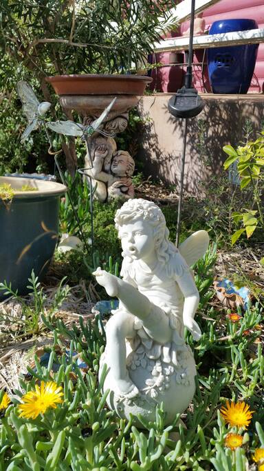 Interesting features in garden