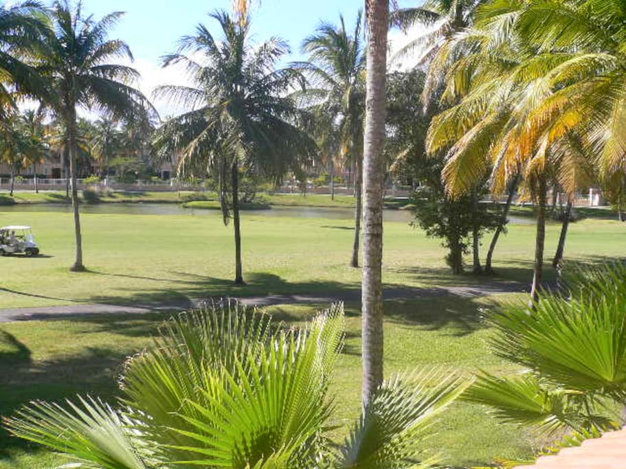 Our view from the balcony, Hole 6 Palm Course, Tennis Center in the background