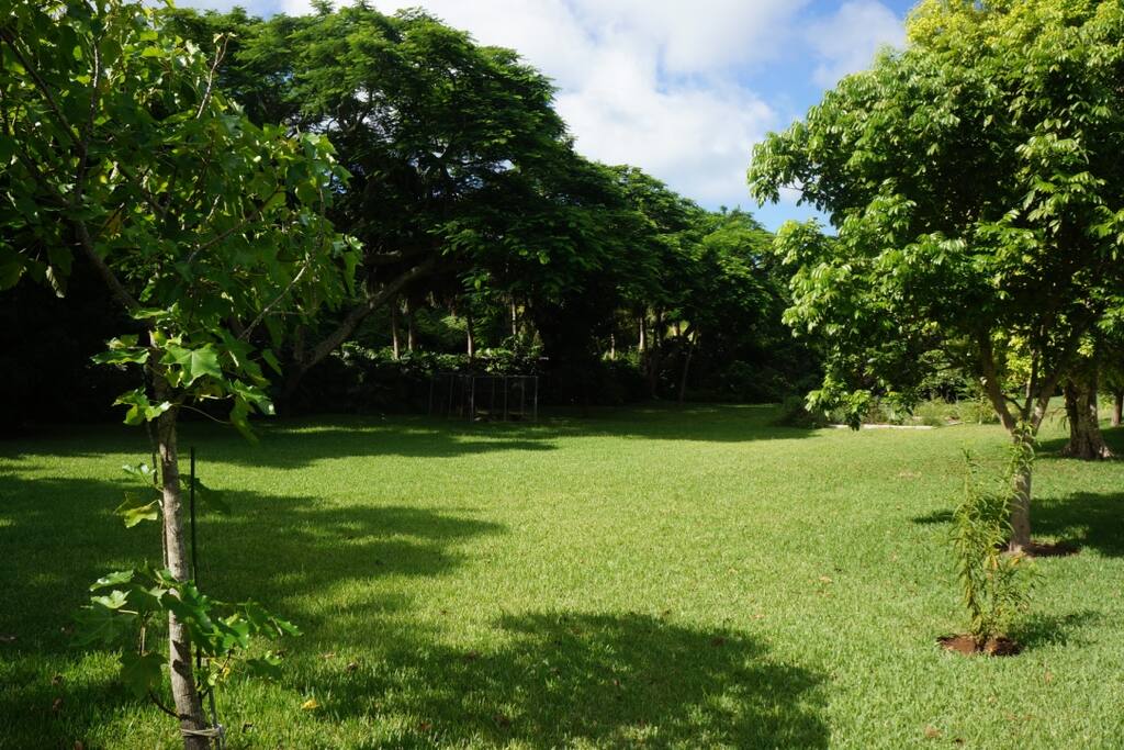 Front lawn