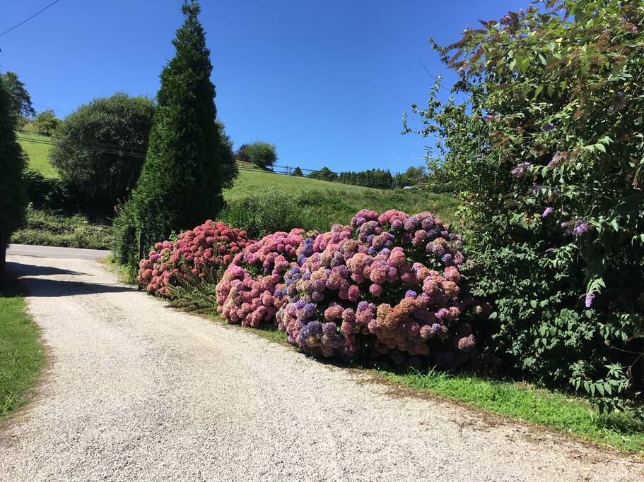 Finca entrada