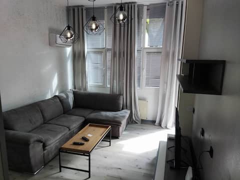 Successful Airbnb property: Apartment Ljubljana 5 in Četrtna Skupnost Jarše