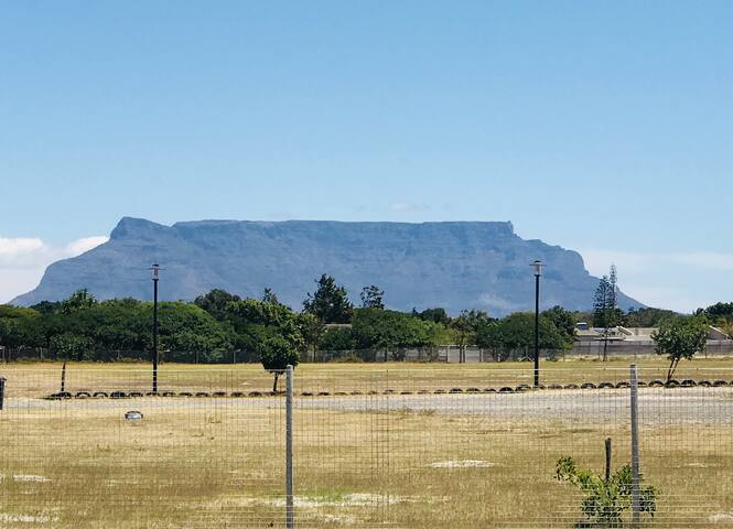 LA VENDELA gallery image 2