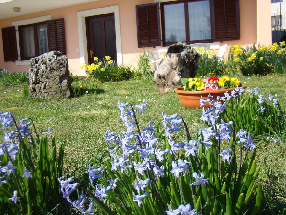 Garden in front of the appartment