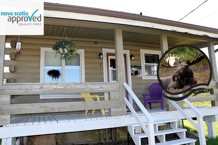 Moose - Grand River Cottage
