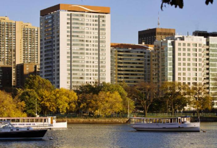 Sunny 2Bed Apt River View By Mass General Hospital gallery image 4