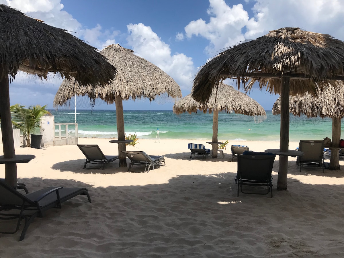 Beachside umbrellas provide shade over lounge chairs on a sandy shore. The calm ocean waves are visible in the background, framed by clouds in a bright sky. This inviting space offers a serene environment for relaxation by the water.