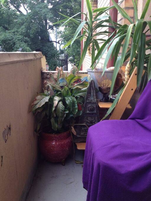 The Balcony
