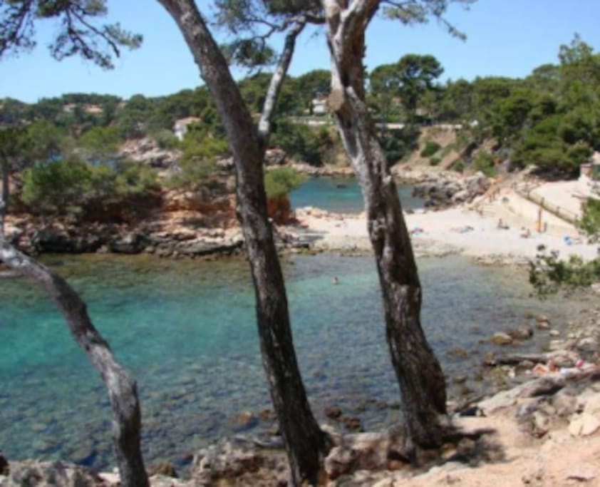 Crique du Capelan