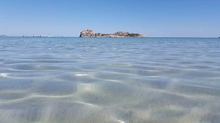 The image features a serene coastal scene with calm, clear waters gently rippling across the sandy seabed. In the distance, an island is visible against a clear blue sky, providing a sense of tranquility and openness.