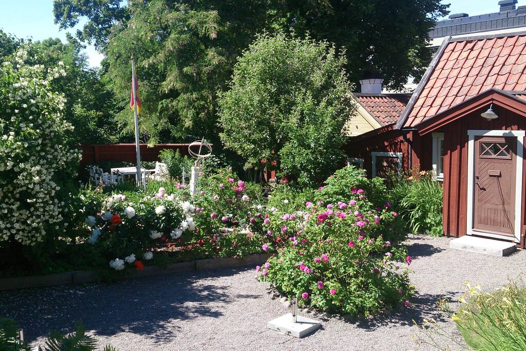 Houses in a nearby park