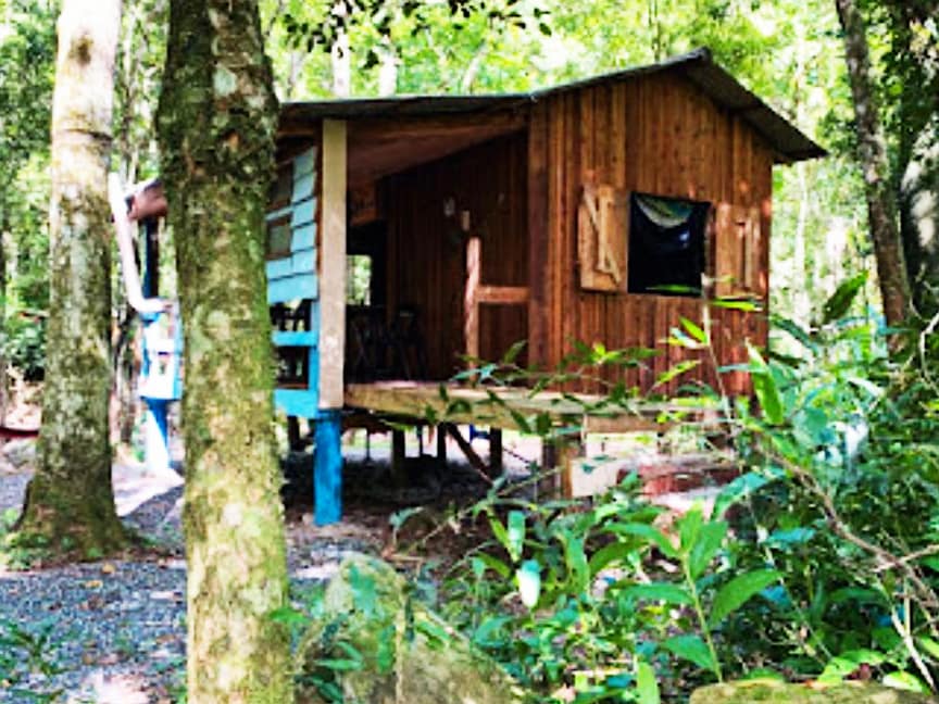 A cabin is nestled amid lush greenery, featuring wooden siding and a slanted roof. Its elevated structure rests on stilts, with a small porch accessible by steps. Surrounded by tall trees and vibrant foliage, the setting offers a natural refuge.