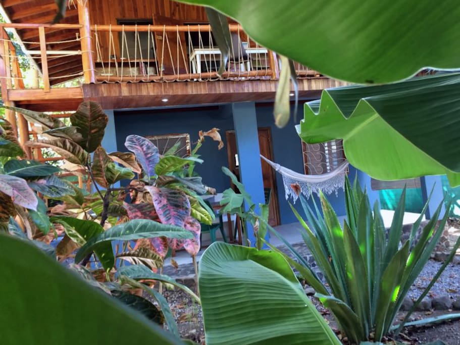 Apartment surrounded by garden with banana trees, palm trees, heliconia, papaya trees and a big agave