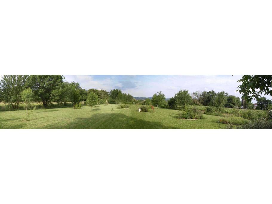 Vue à 180° du jardin