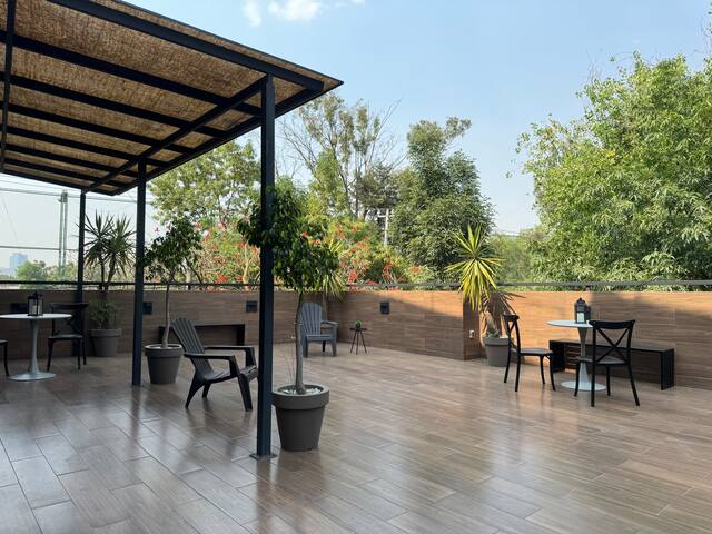 Designer’s Home in la Roma gallery image 2