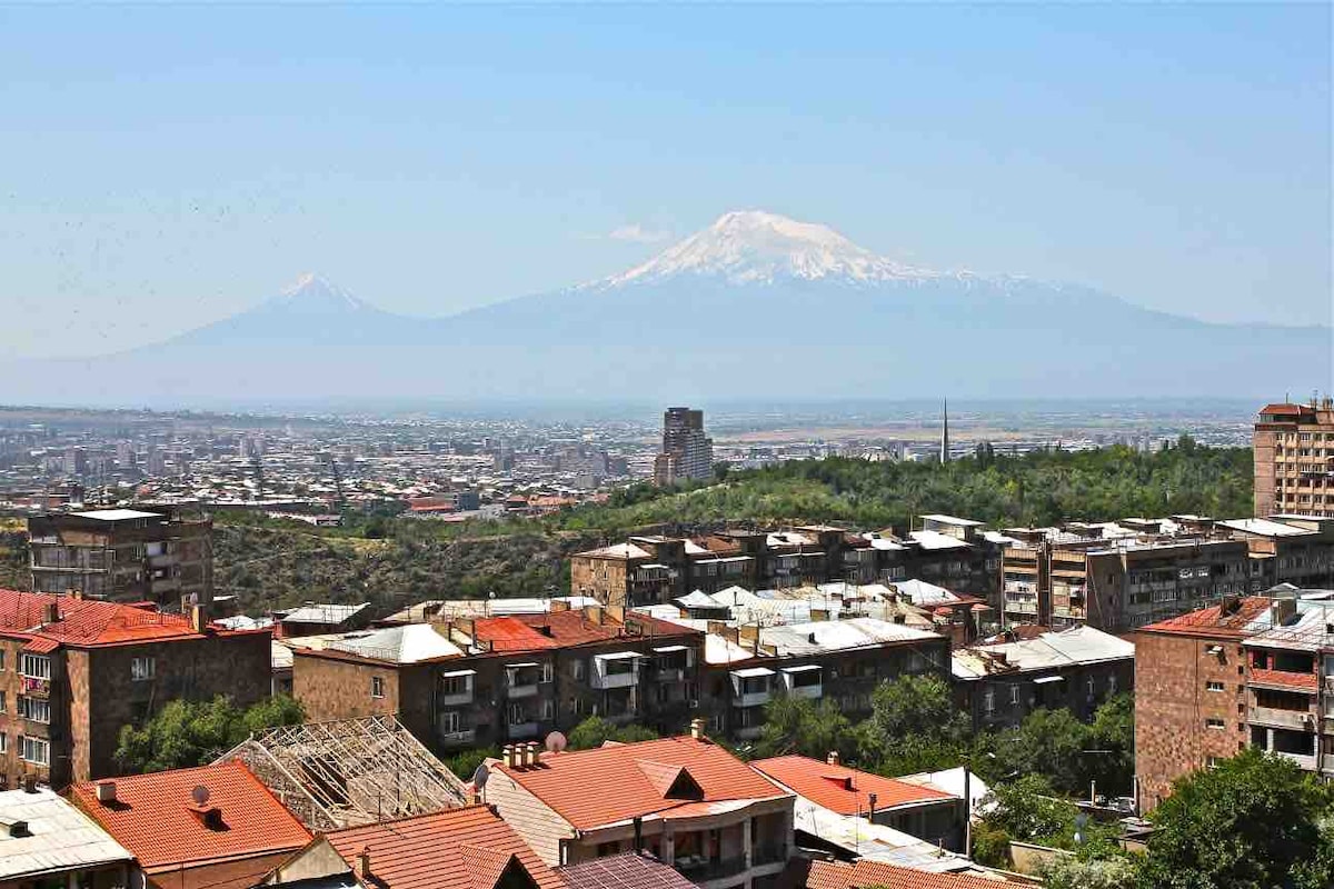 A wide view of the city of Yerevan is presented, showcasing a blend of residential buildings with terracotta roofs. In the distance, majestic snow-capped mountains rise against a clear blue sky, adding a stunning backdrop to the urban landscape.
