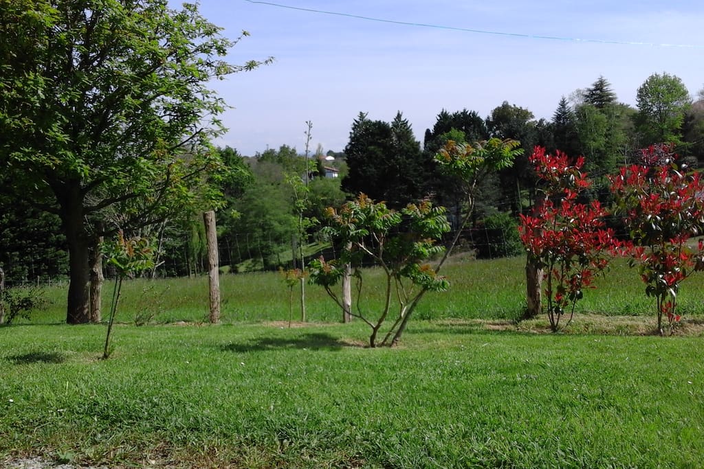 le jardin