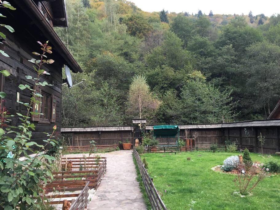The large and beautiful green garden
