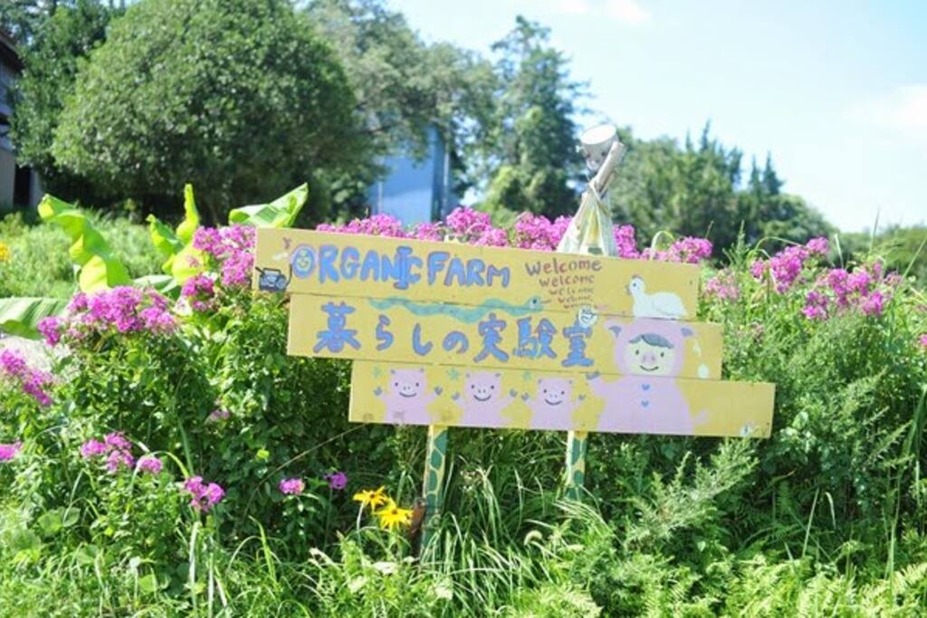 農場の入口