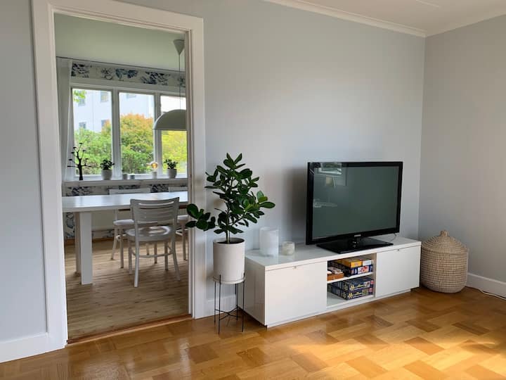 TV med Chromecast