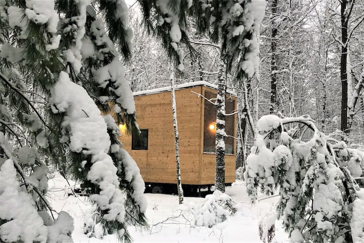 Tiny Cabin, Fall Creek, Wisconsin