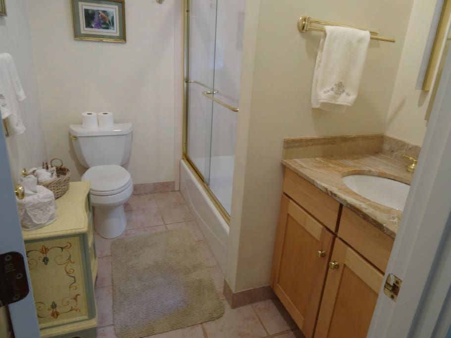 Private Guest Bathroom