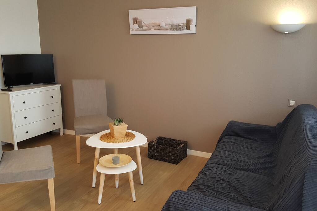 Salon/séjour (confortable canapé convertible)