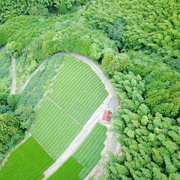 Yui Valley surroundings - A look From the Sky. (this is not our house)