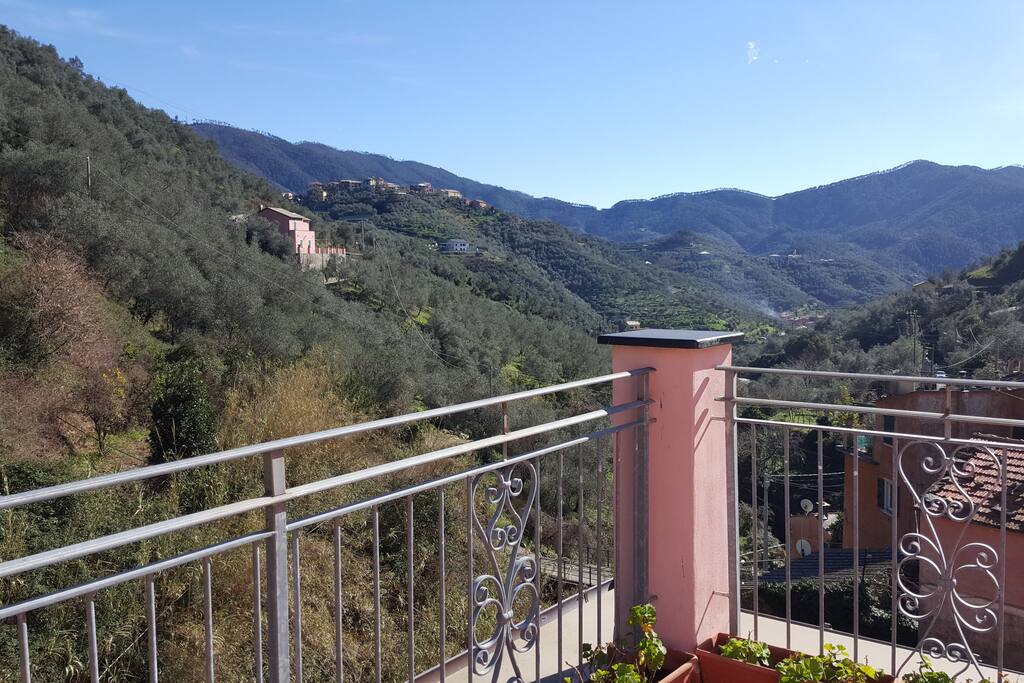 View from terrace