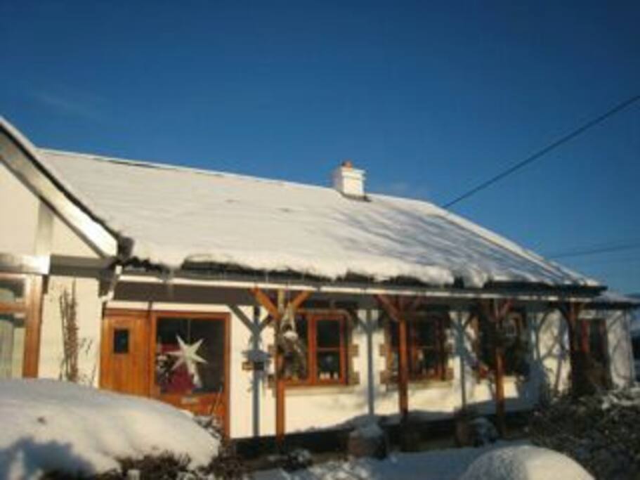 Winter at Ingleside