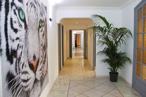 7 bedroom house in Gard