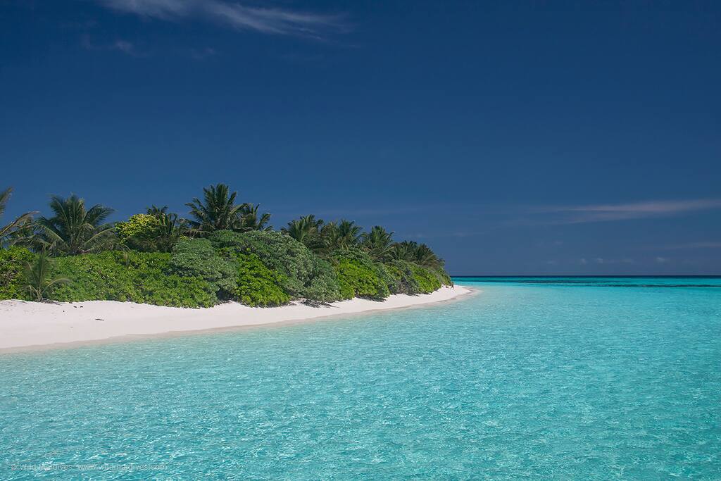 Beach view
