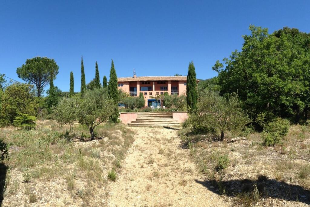 Le jardin est très grand