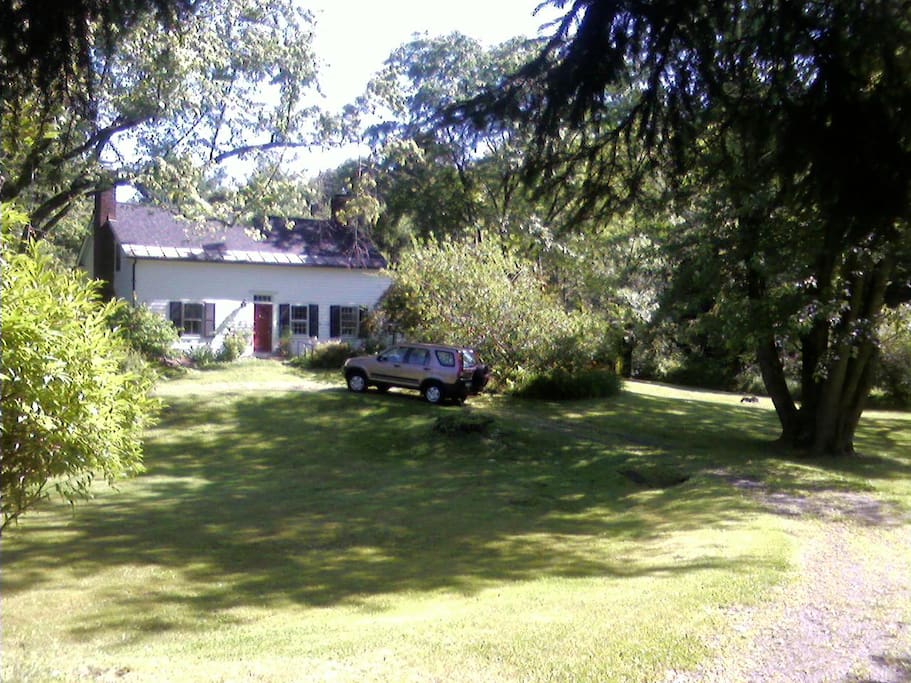 The driveway up to the house.