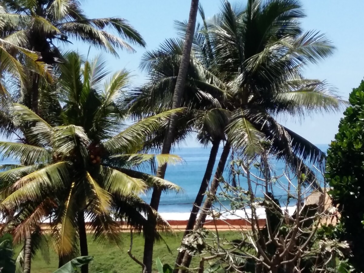 The image captures a scenic ocean view framed by swaying palm trees. The vibrant green foliage contrasts with the blue waters of the sea and the clear sky, providing a serene backdrop that enhances the tranquil atmosphere of the surrounding area.