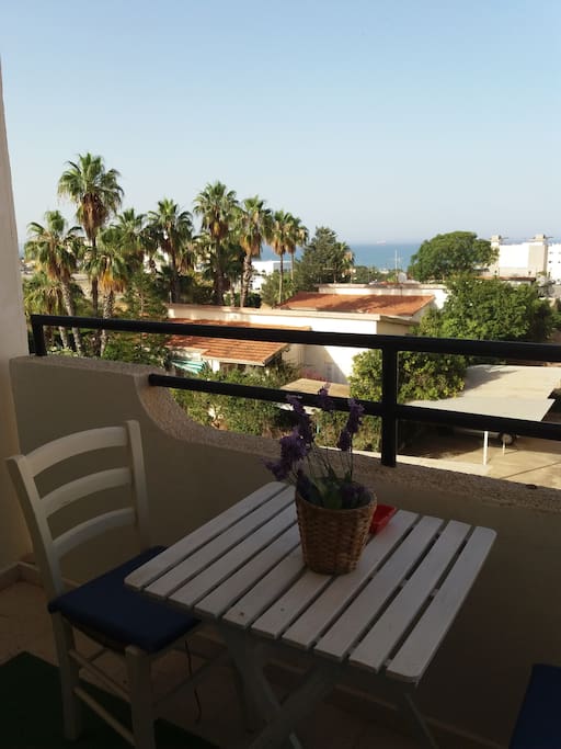view from the veranda