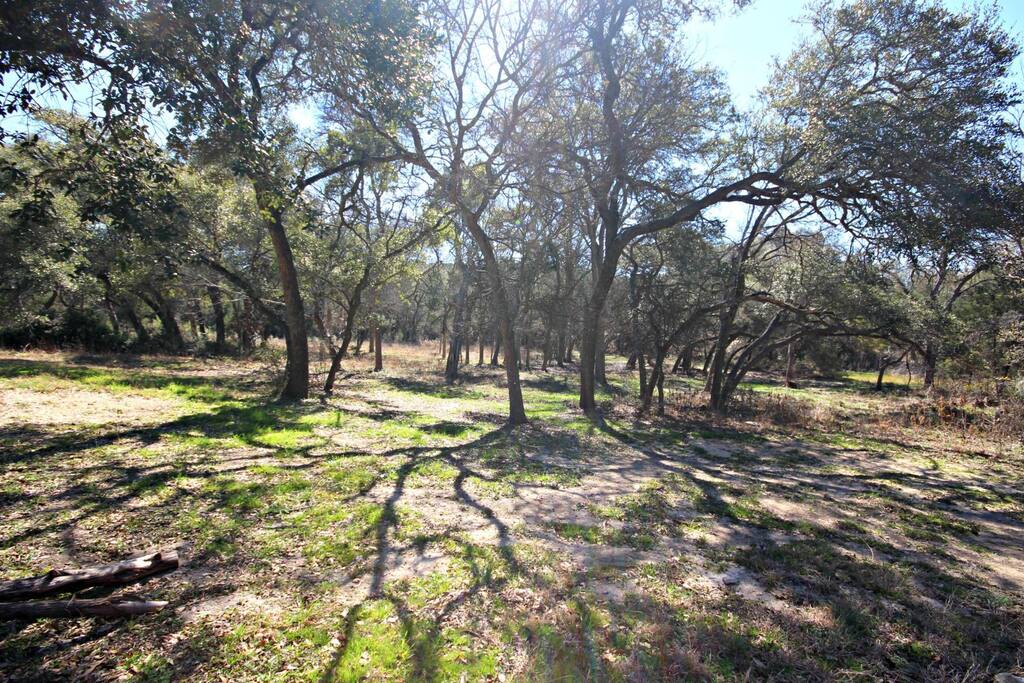 Large Oak Trees on Shaded Property