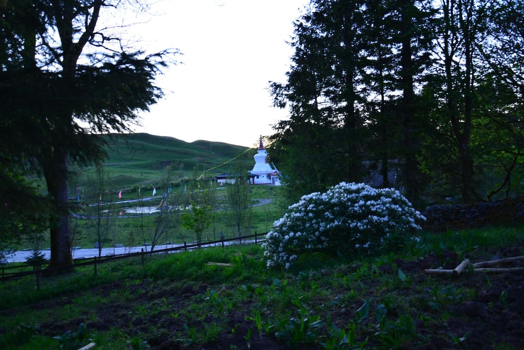 View from the garden.