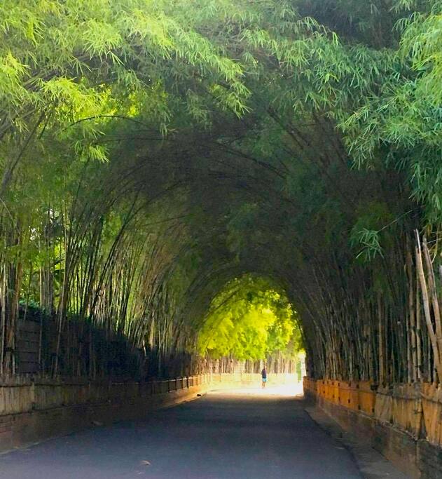 back road to the apartment