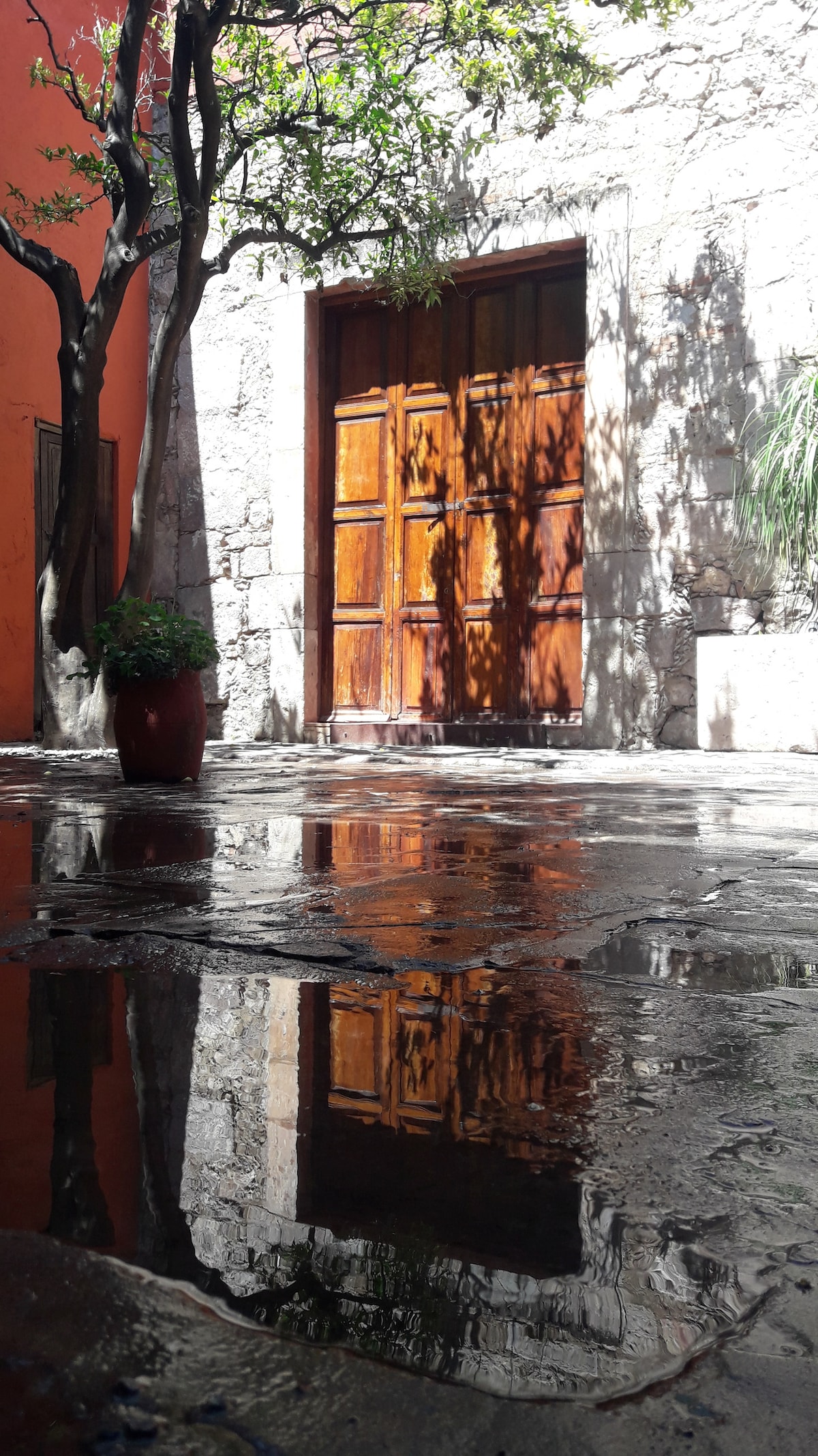 A stone wall features a large wooden door framed by shadows cast by nearby trees. The wet stones reflect the door's warm hues and the surrounding greenery, enhancing the inviting atmosphere of the courtyard.