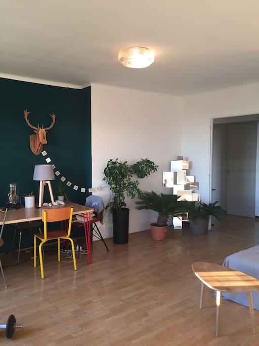 Salon