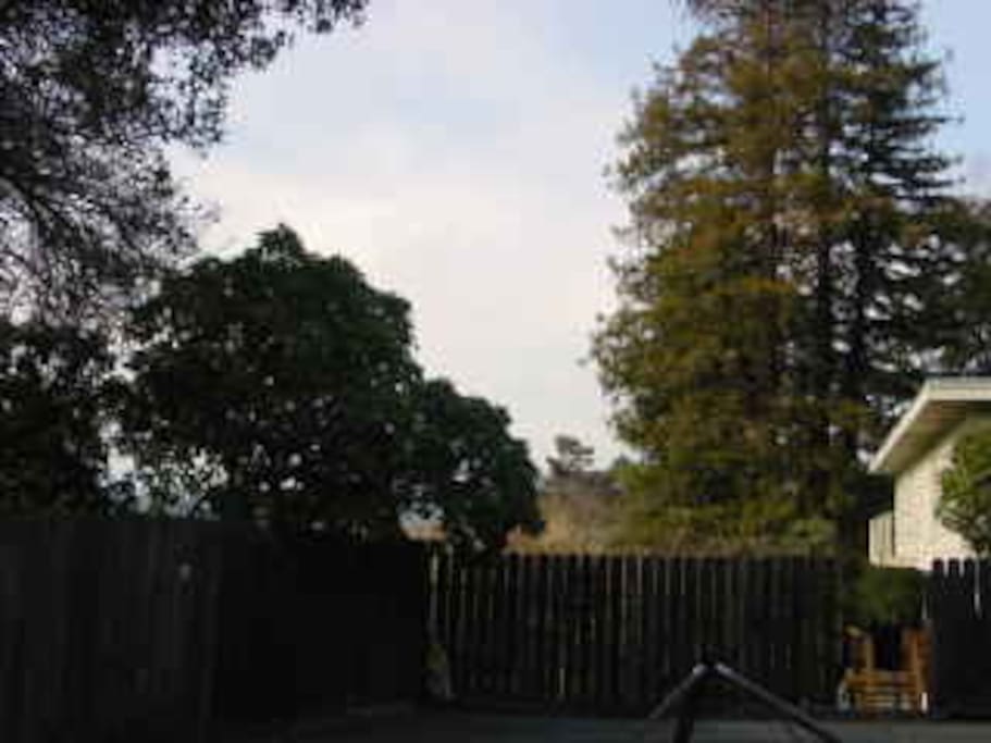 View from Raised Cement Platform RV/Camper/Tent Site