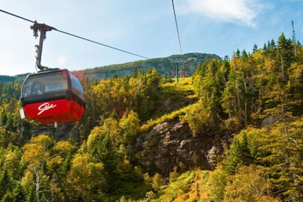 Take a Ride in the Sky... Tram runs all Summer for Hiking , Ziplining ...