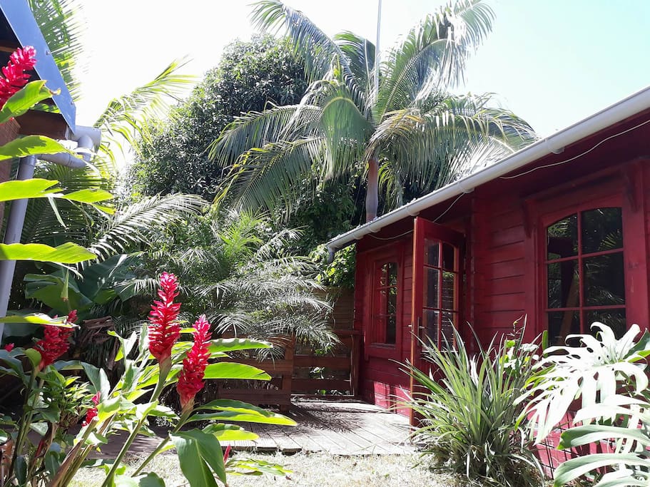 la cabane des Robinson