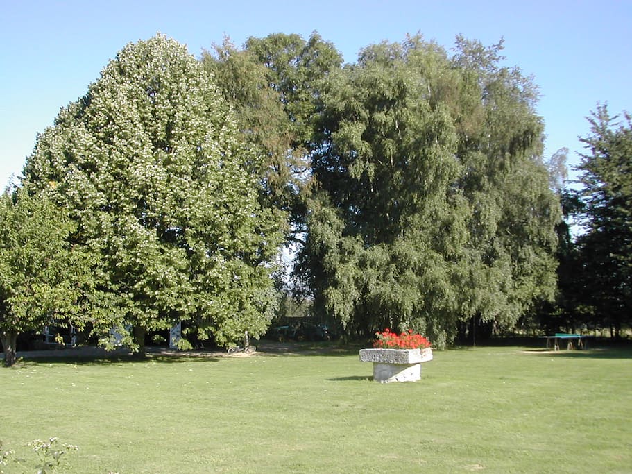 jardin