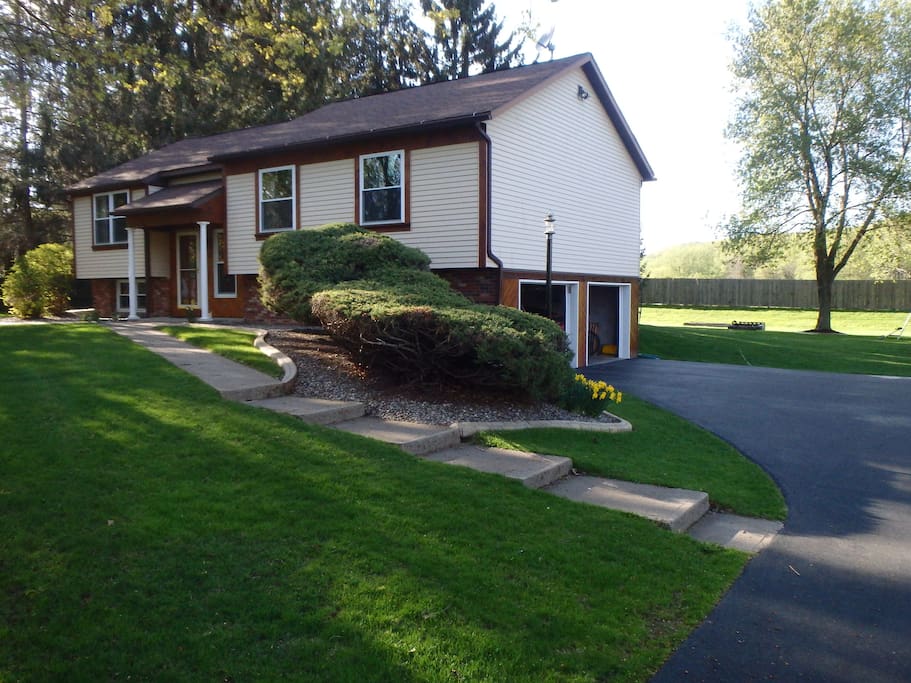 Front yard and driveway