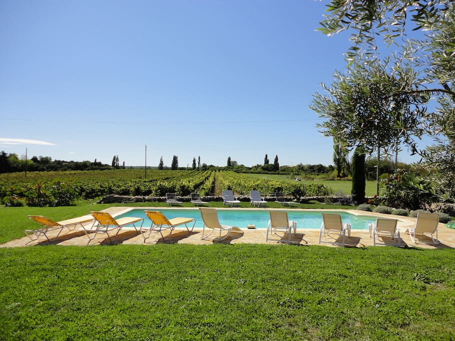 La piscine face aux vignes, plein sud