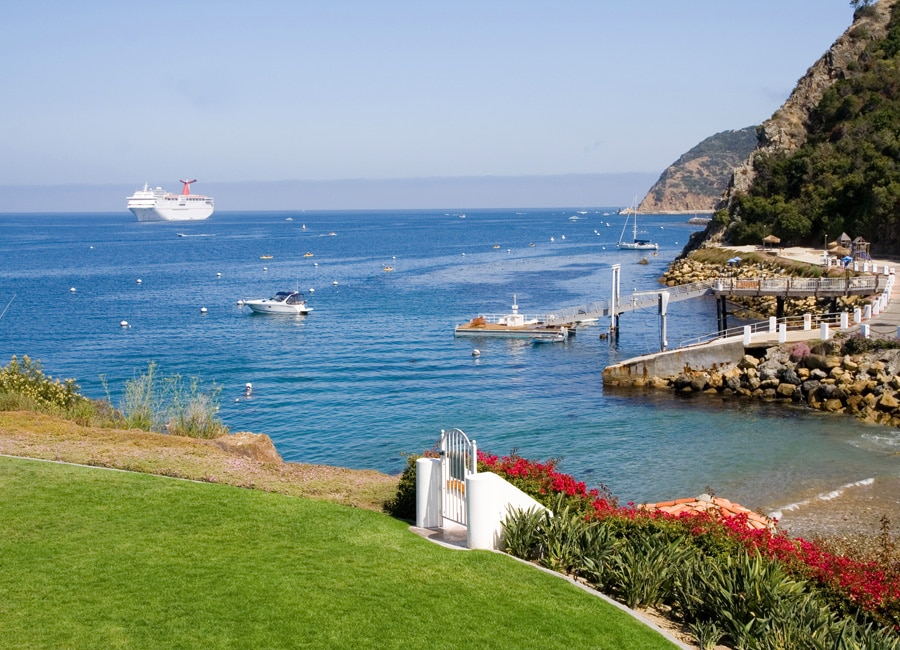 The image captures a serene ocean view from a grassy area, featuring a cruise ship and various boats on the calm water. The coastline is dotted with rocky formations and a dock, with vibrant flowers enhancing the landscape.